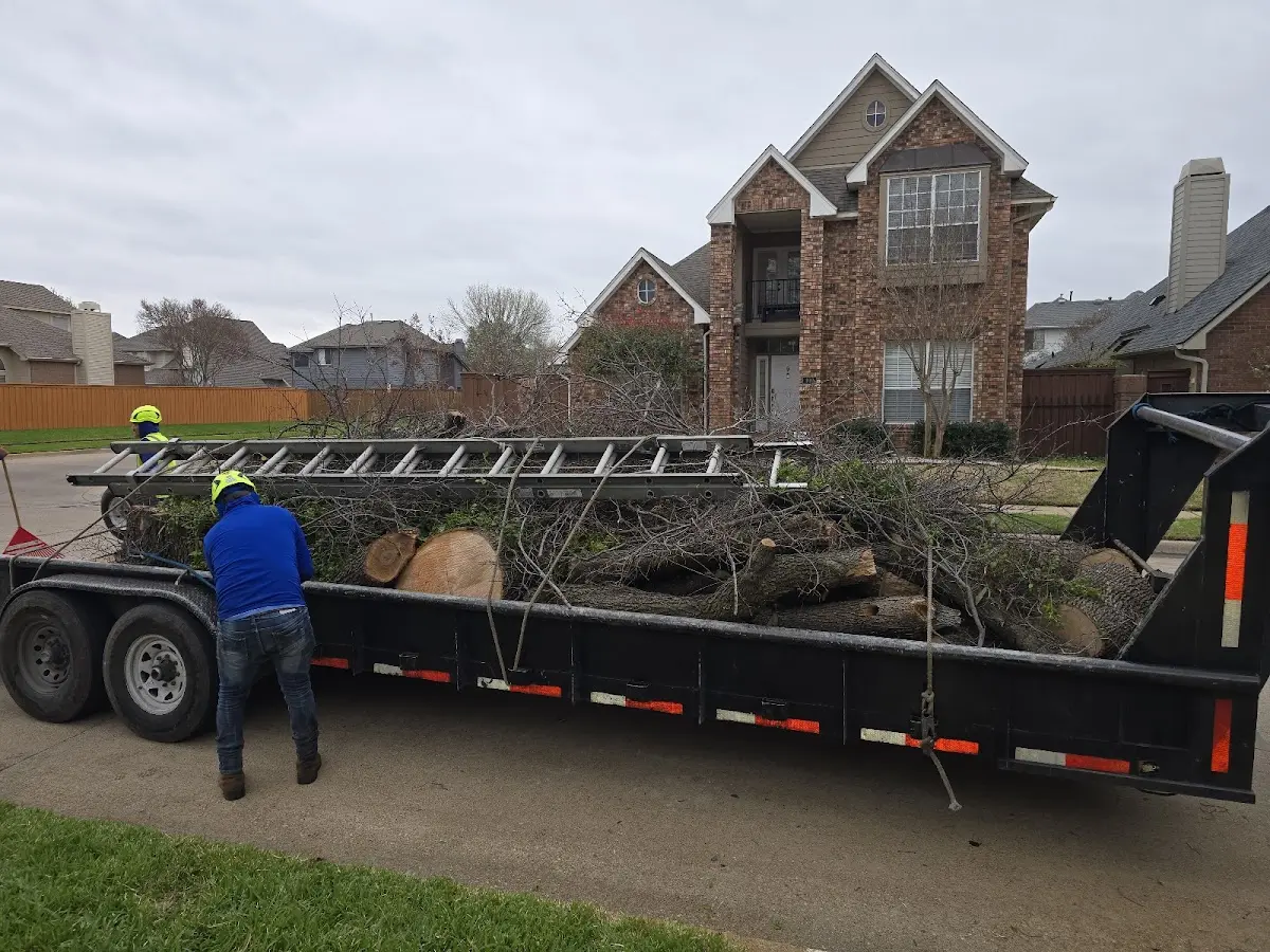 Expert Tree Fertilization with proper safety equipment in Jenkinsburg